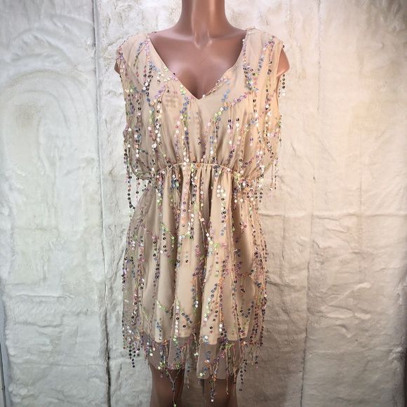 Southern Fried Chics Mini Dress Womens XL  Beige Shimmy For Me Mesh Sequins - Picture 9 of 16